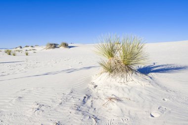 Beyaz Kumlar Alçıtaşı Kumulları