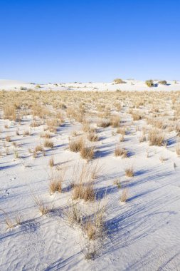 Beyaz Kumlar Alçıtaşı Kumulları
