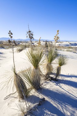Beyaz Kumlar Alçıtaşı Kumulları