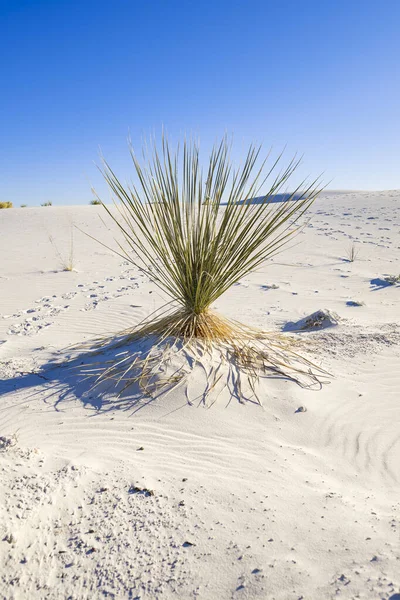 Dune di gesso di sabbia bianca — Foto Stock