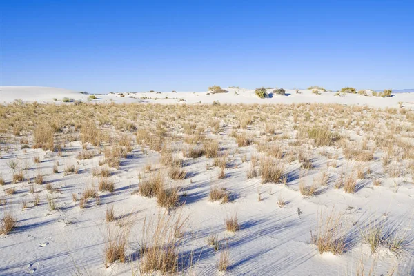 Dunes de gypse des sables blancs — Photo