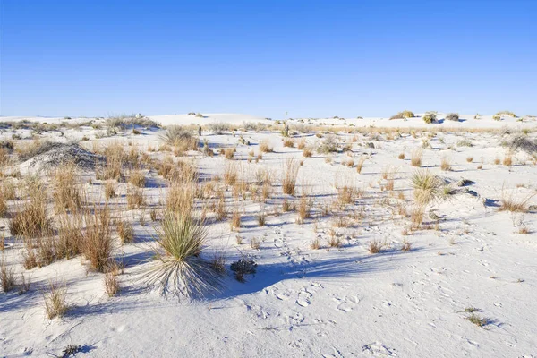 白い砂石膏砂丘 — ストック写真