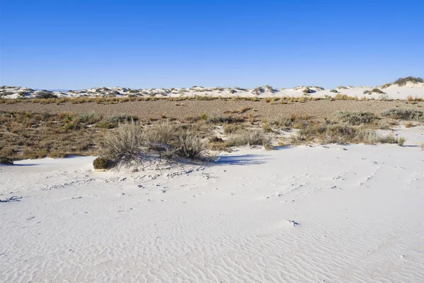 Vita sanddyner med gipssten — Stockfoto