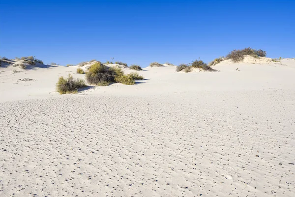 Weiße Sanddünen — Stockfoto