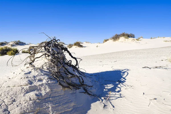 Witte zandgipsduinen — Stockfoto