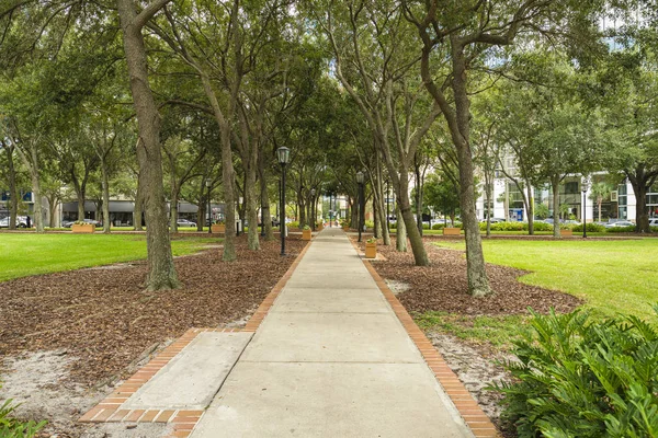 Downtown Tampa Cityscape — Stock Photo, Image