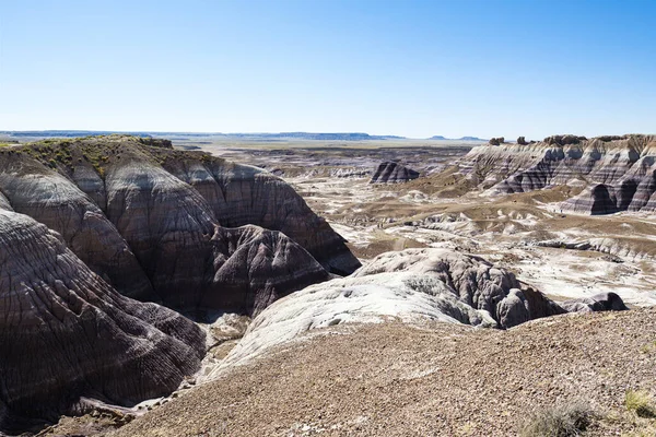 Paisagem Deserto Parque Nacional Floresta Petrificada Arizona — Fotografia de Stock