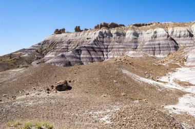 Arizona 'daki Taşlaşmış Orman Ulusal Parkı' nın çöl manzarası..