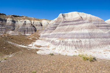 Arizona 'daki Taşlaşmış Orman Ulusal Parkı' nın çöl manzarası..