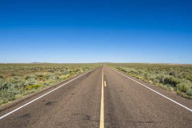 Arizona 'daki Petrified Forest Ulusal Parkı' nda uzun çöl yolu..