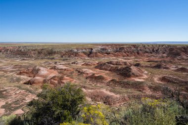 Arizona 'daki Taşlaşmış Orman Ulusal Parkı' nın çöl manzarası..
