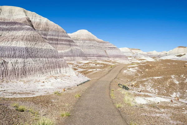 Paisagem Deserto Parque Nacional Floresta Petrificada Arizona — Fotografia de Stock