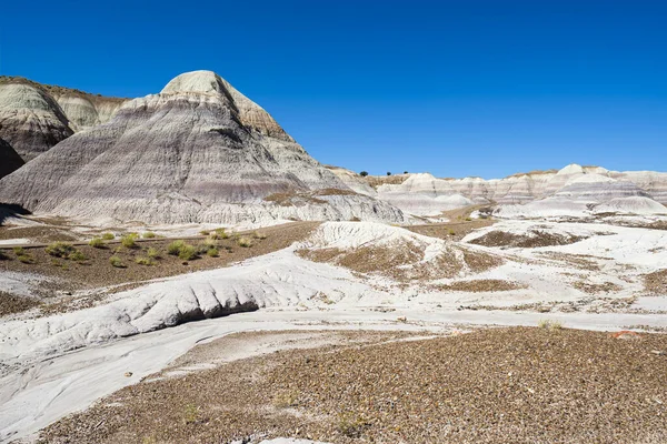 Paisagem Deserto Parque Nacional Floresta Petrificada Arizona — Fotografia de Stock