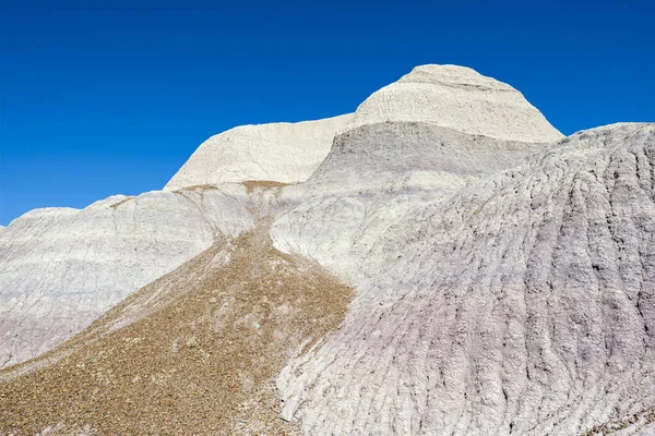 Pouštní Krajina Národního Parku Zkamenělého Lesa Arizoně — Stock fotografie