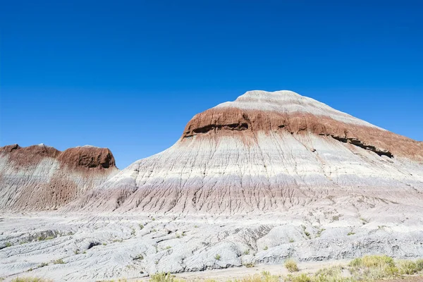 Paisagem Deserto Parque Nacional Floresta Petrificada Arizona — Fotografia de Stock