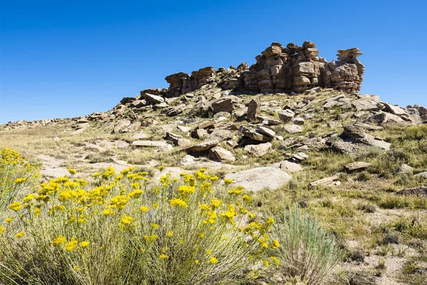 Paisagem Deserto Parque Nacional Floresta Petrificada Arizona — Fotografia de Stock
