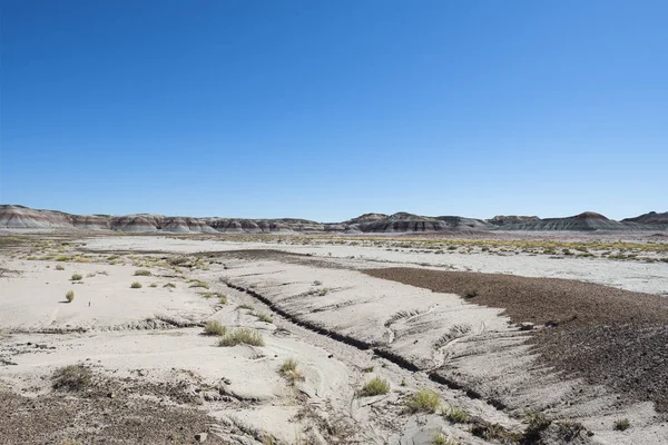 Paesaggio Desertico Del Parco Nazionale Della Foresta Pietrificata Arizona — Foto Stock