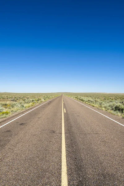 亚利桑那州石化森林国家公园的漫长沙漠之路 — 图库照片
