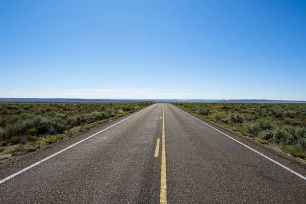 Lång Ökenväg Petrified Forest National Park Arizona — Stockfoto