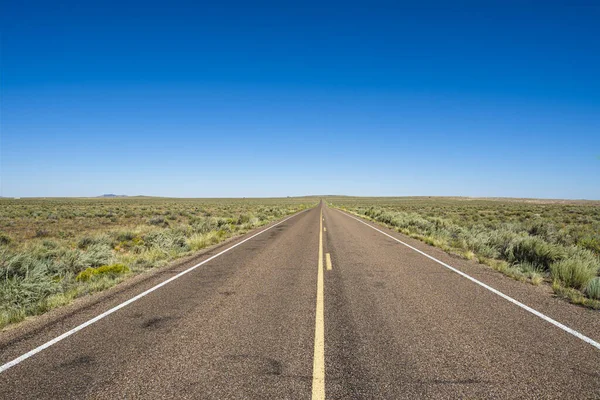 Długa Pustynna Droga Parku Narodowym Petrified Forest Arizonie — Zdjęcie stockowe