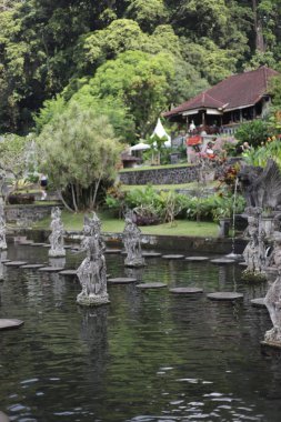 Bali 'nin kutsal tapınakları ve parkları