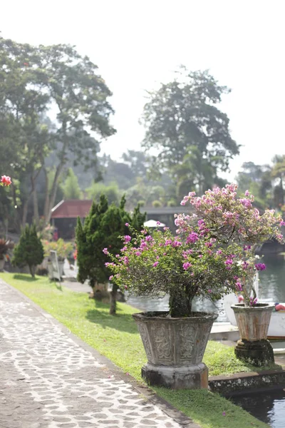 Posvátné Chrámy Parky Bali — Stock fotografie