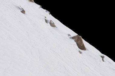 Siyah arkaplanda izole kaya.