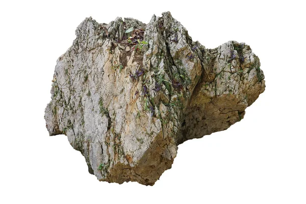 Roccia Isolata Sfondo Bianco — Foto Stock