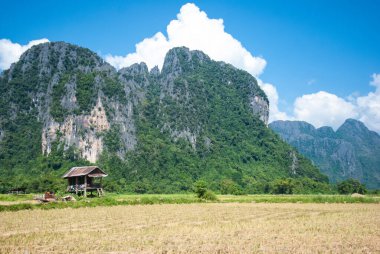 Dağ destekli pirinç tarlası, Vang Vieng, Laos