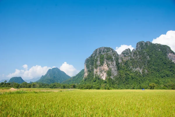 Campo Arroz Com Fundo Montanha Vang Vieng Laos — Fotografia de Stock