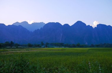 Dağ destekli pirinç tarlası, Vang Vieng, Laos