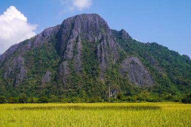 Dağ destekli pirinç tarlası, Vang Vieng, Laos