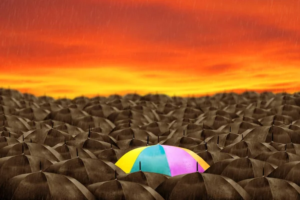 Barevný Deštník Hmotě Černých Deštníků — Stock fotografie