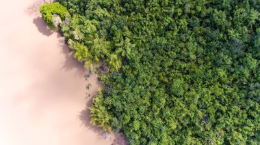 Ormanın havadan görünüşü.