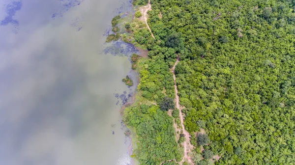 Ormanın Havadan Görünüşü — Stok fotoğraf