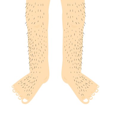 Hairy legs.Vector Illustration. clipart