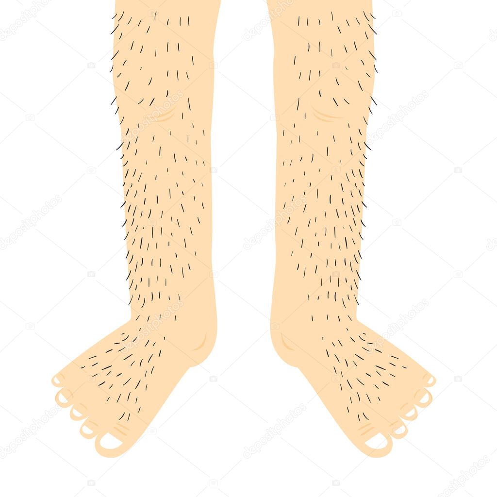 Hairy legs.Vector Illustration.
