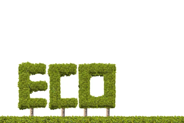 Eco Texto Hecho Por Arbustos Verdes Forma —  Fotos de Stock