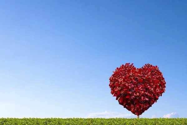 Árbol Forma Corazón Con Fondo Azul Cielo —  Fotos de Stock