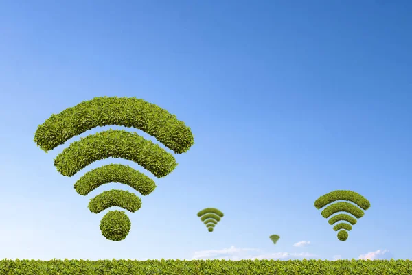 Árbol Símbolo Wifi Hecho Por Forma Arbustos — Foto de Stock