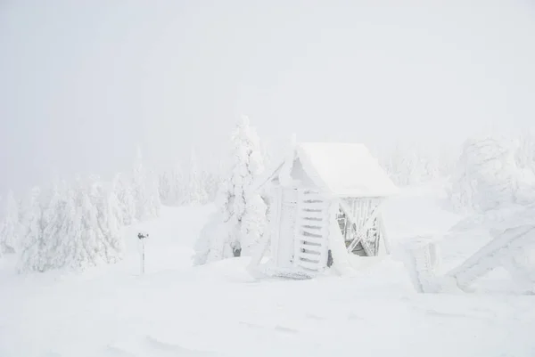 Белый деревянный снежный дом в горах под снегом — стоковое фото