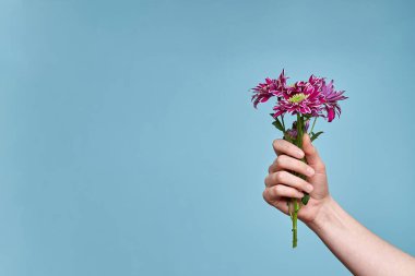 Not defteri, mavi arkaplanda kalem ve çiçek