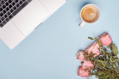 Düz kahve fincanı, dizüstü bilgisayar ve güller mavi kağıt arka planda 