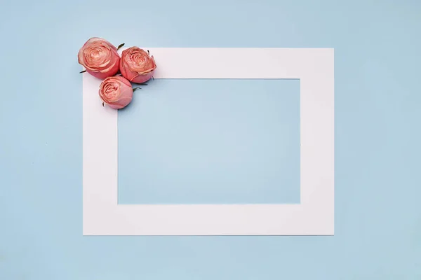Marco blanco con flores rosas rosadas sobre fondo de papel azul — Foto de Stock
