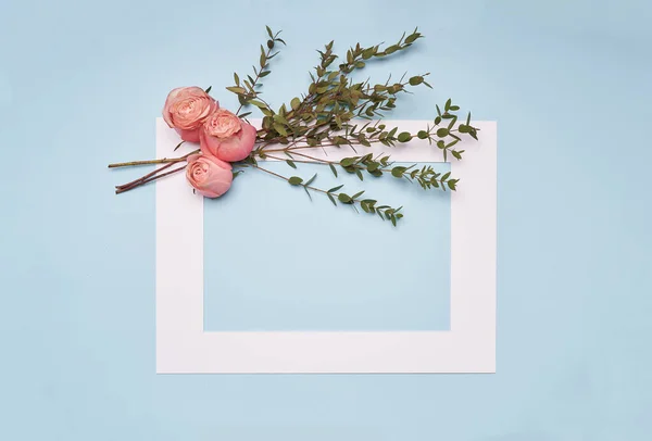 White frame with pink roses flowers on blue paper background