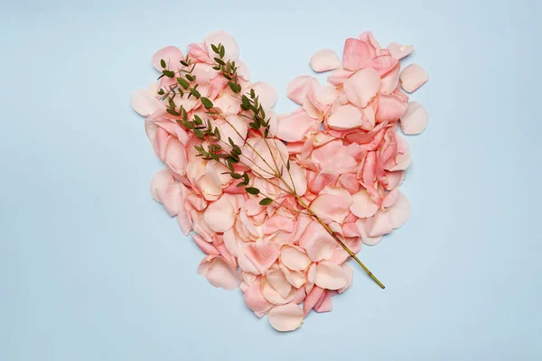 Flat lay Rosas rosadas corazón de pétalo sobre fondo azul — Foto de Stock