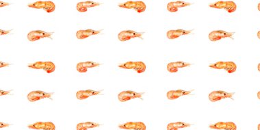 Beyaz arka planda karides deseni düz pankart yatıyordu