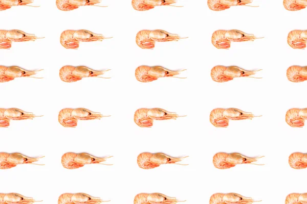 Shrimps pattern on white background flat lay