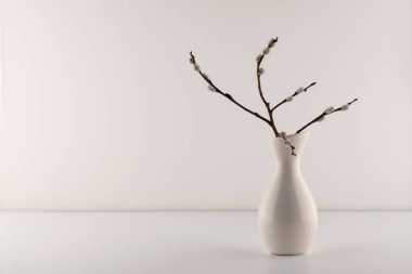 Beyaz bir masadaki beyaz vazoda söğüt ağacı.   