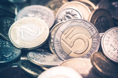 Polonya para birimi para çıktı. Beş ve iki Zlotisi paralar Closeup fotoğraf. W